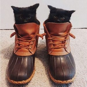 Meet your Posher, Caitlin